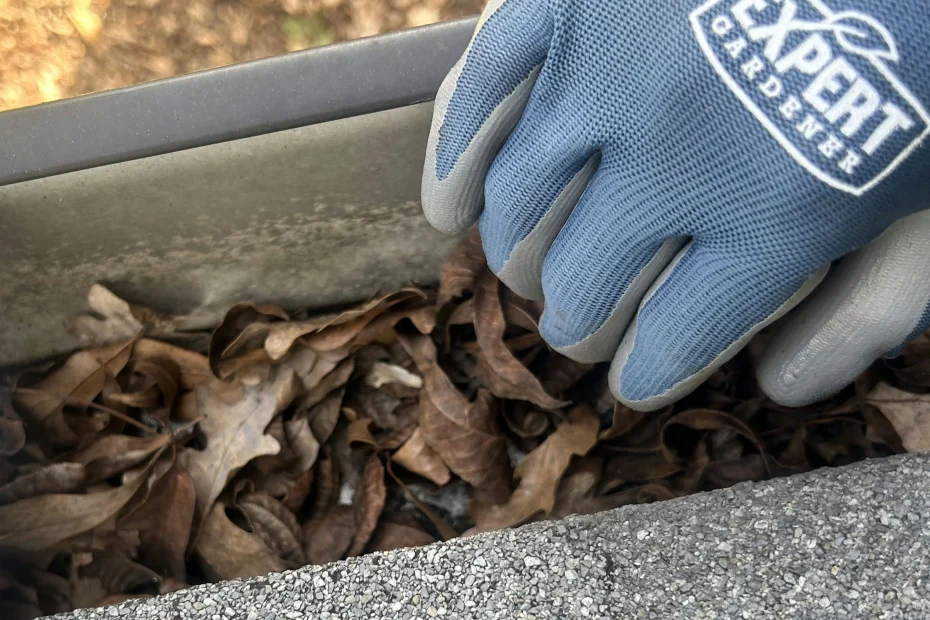 Gutter Cleaning Bonita Springs FL