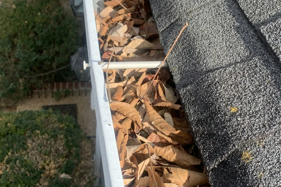 Gutter Cleaning Bonita Springs FL