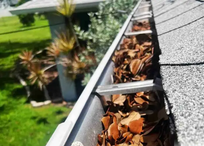 Gutter Cleaning Bonita Springs FL home page